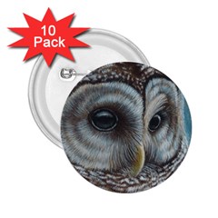 Barred Owl 2 25  Button (10 Pack) by TonyaButcher