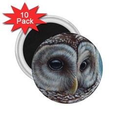 Barred Owl 2 25  Button Magnet (10 Pack) by TonyaButcher