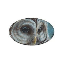 Barred Owl Sticker (oval) by TonyaButcher