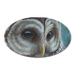 Barred Owl Magnet (oval) by TonyaButcher