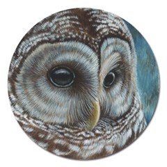 Barred Owl Magnet 5  (round) by TonyaButcher