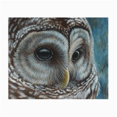 Barred Owl Glasses Cloth (small)