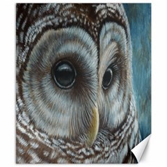 Barred Owl Canvas 8  X 10  (unframed) by TonyaButcher