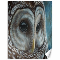 Barred Owl Canvas 12  X 16  (unframed) by TonyaButcher