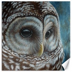 Barred Owl Canvas 20  X 20  (unframed) by TonyaButcher