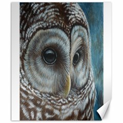 Barred Owl Canvas 20  X 24  (unframed) by TonyaButcher