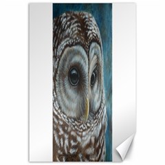 Barred Owl Canvas 24  X 36  (unframed) by TonyaButcher