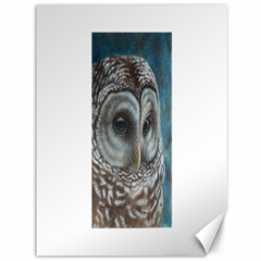 Barred Owl Canvas 36  X 48  (unframed)