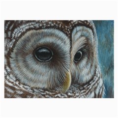 Barred Owl Glasses Cloth (large, Two Sided)