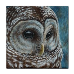 Barred Owl Face Towel by TonyaButcher