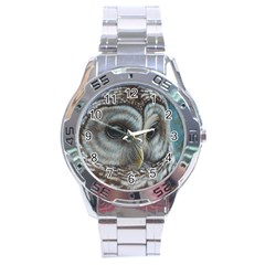 Barred Owl Stainless Steel Watch by TonyaButcher