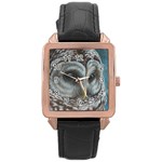 Barred Owl Rose Gold Leather Watch  Front