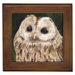 Tawny Owl Framed Ceramic Tile