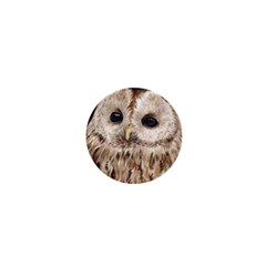 Tawny Owl 1  Mini Button by TonyaButcher