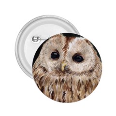 Tawny Owl 2 25  Button by TonyaButcher