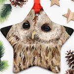 Tawny Owl Star Ornament Front