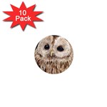 Tawny Owl 1  Mini Button Magnet (10 pack) Front