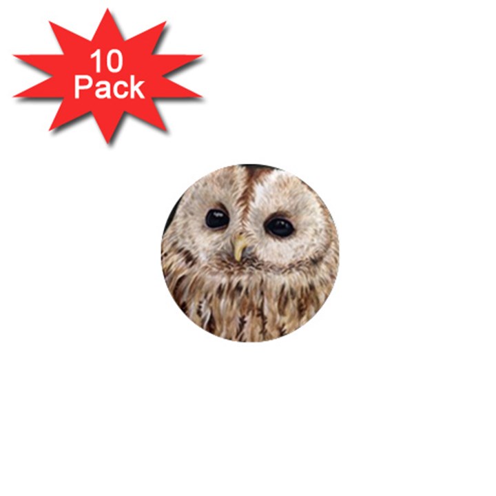 Tawny Owl 1  Mini Button Magnet (10 pack)