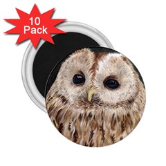 Tawny Owl 2 25  Button Magnet (10 Pack) by TonyaButcher