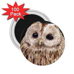 Tawny Owl 2 25  Button Magnet (100 Pack) by TonyaButcher