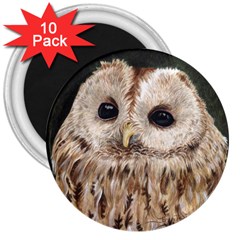 Tawny Owl 3  Button Magnet (10 Pack) by TonyaButcher