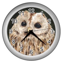 Tawny Owl Wall Clock (silver)