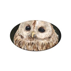 Tawny Owl Sticker (oval) by TonyaButcher