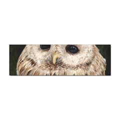 Tawny Owl Bumper Sticker by TonyaButcher