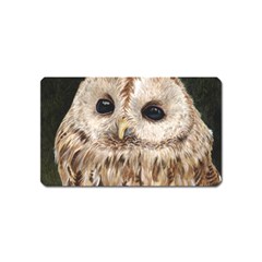 Tawny Owl Magnet (name Card)