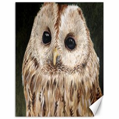 Tawny Owl Canvas 12  X 16  (unframed) by TonyaButcher