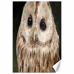 Tawny Owl Canvas 12  X 18  (unframed) by TonyaButcher