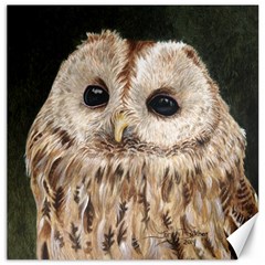 Tawny Owl Canvas 20  X 20  (unframed) by TonyaButcher