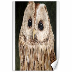 Tawny Owl Canvas 24  X 36  (unframed) by TonyaButcher