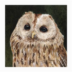 Tawny Owl Glasses Cloth (medium) by TonyaButcher