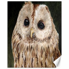 Tawny Owl Canvas 11  X 14  (unframed) by TonyaButcher