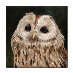 Tawny Owl Face Towel by TonyaButcher