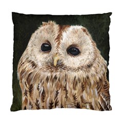 Tawny Owl Cushion Case (single Sided)  by TonyaButcher