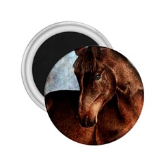 Midnight Jewel  2 25  Button Magnet by TonyaButcher