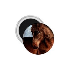 Midnight Jewel  1 75  Button Magnet by TonyaButcher