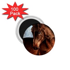 Midnight Jewel  1 75  Button Magnet (100 Pack) by TonyaButcher