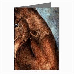 Midnight Jewel  Greeting Card (8 Pack)