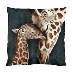 A Mother s Love Cushion Case (single Sided)  by TonyaButcher