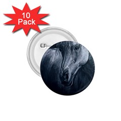 Equine Grace  1 75  Button (10 Pack)