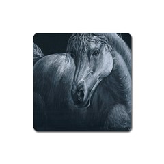 Equine Grace  Magnet (square)