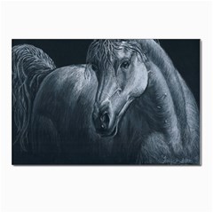 Equine Grace  Postcards 5  X 7  (10 Pack) by TonyaButcher