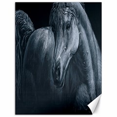 Equine Grace  Canvas 18  X 24  (unframed)