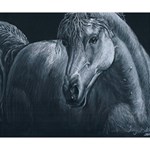 Equine Grace  Deluxe Canvas 14  x 11  (Framed) 14  x 11  x 1.5  Stretched Canvas