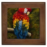 Preening Framed Ceramic Tile Front