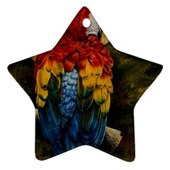 Preening Star Ornament