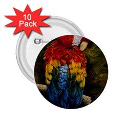 Preening 2.25  Button (10 pack)